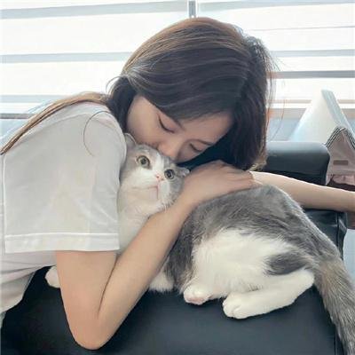 好家伙先生 海报