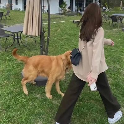 外来媳妇本地郎16 海报